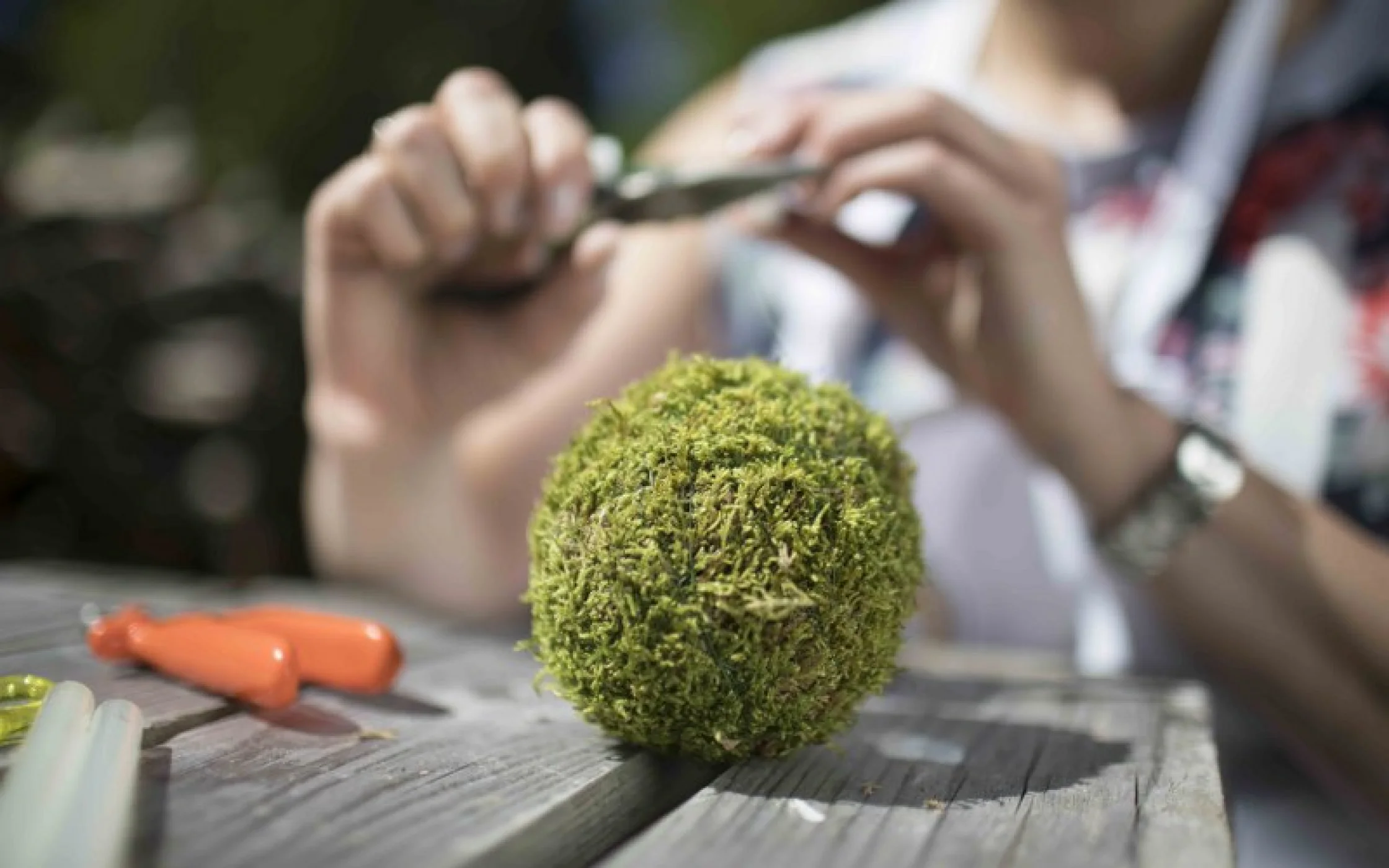 Bild3 Eichelkugel_JohannaLarcherarminhuber_2017 49_800x533.jpg